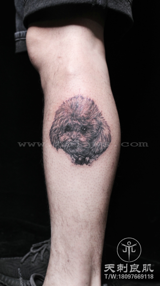 小腿写实纹身泰迪宠物纹身