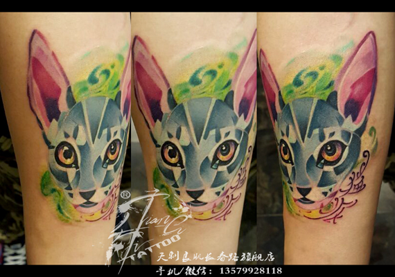 乌鲁木齐纹身图片-彩色猫