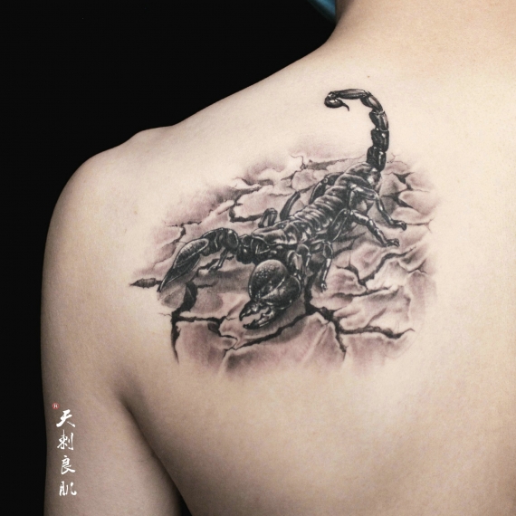 克拉玛依后背写实蝎子纹身